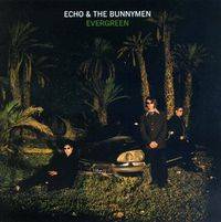 Echo And The Bunnymen : Evergreen
